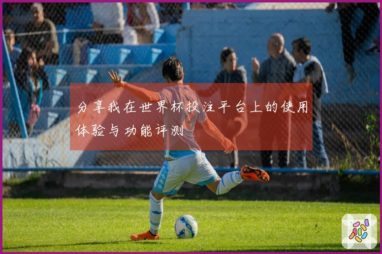 分享我在世界杯投注平台上的使用体验与功能评测