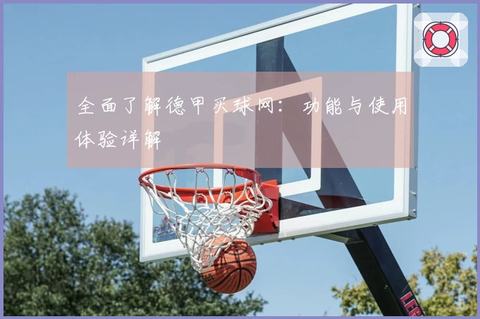 全面了解德甲买球网：功能与使用体验详解