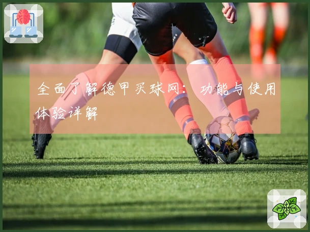 全面了解德甲买球网：功能与使用体验详解