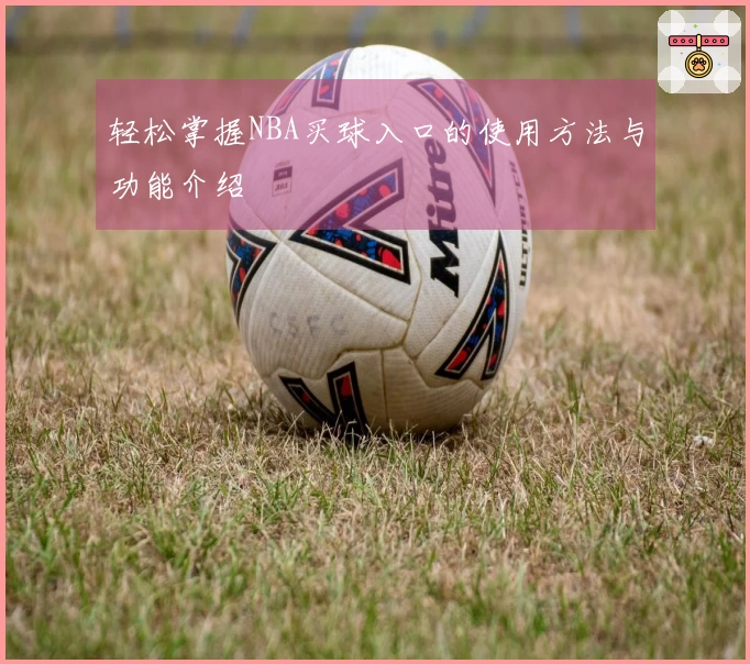 轻松掌握NBA买球入口的使用方法与功能介绍